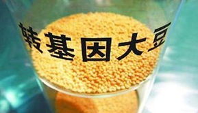 金龍魚陷轉(zhuǎn)基因門風(fēng)波 專家稱安全性尚無定論，對酒類經(jīng)營有何啟示？